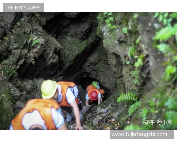 攀岩新手必看团队协作技巧与入门指南全面解析