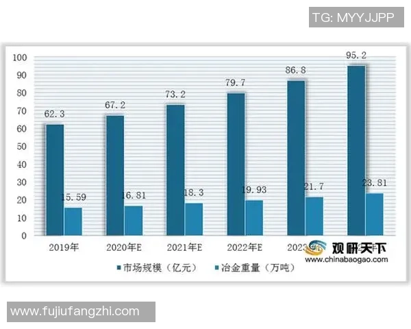 深入探讨北京足球队各大球队实力对比及未来发展趋势分析 深入探讨北京足球队各大球队实力对比及未来发展趋势分析
