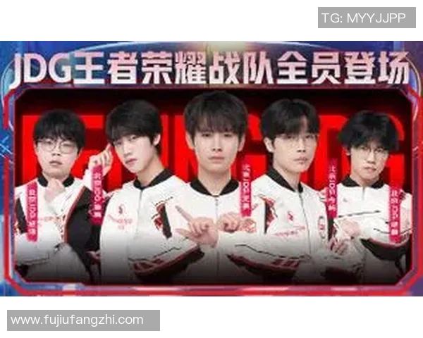 王者荣耀深度解析：JDG战队意识与团队协作的成功之道