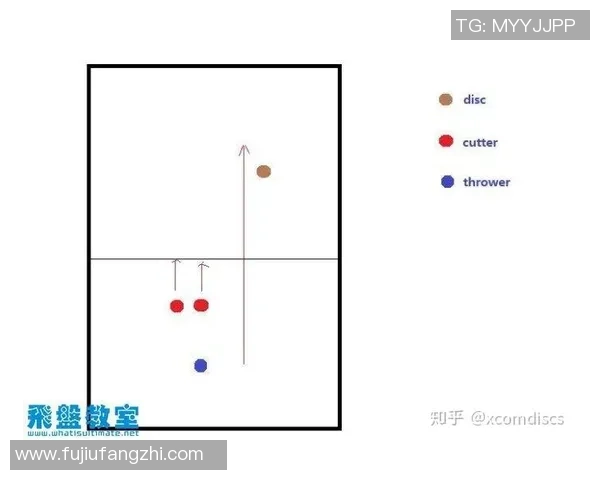 飞盘战术解析：武汉飞盘队如何运用区域防守提升比赛胜率